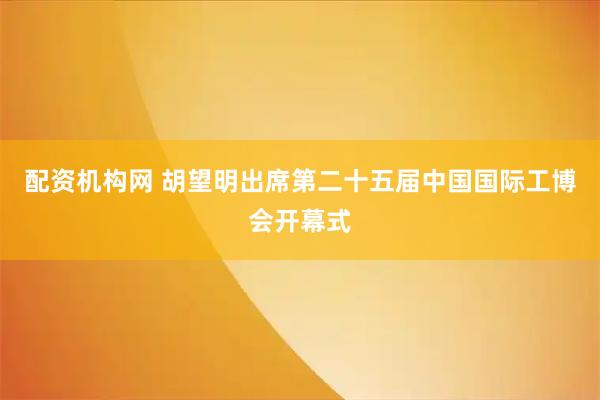 配资机构网 胡望明出席第二十五届中国国际工博会开幕式