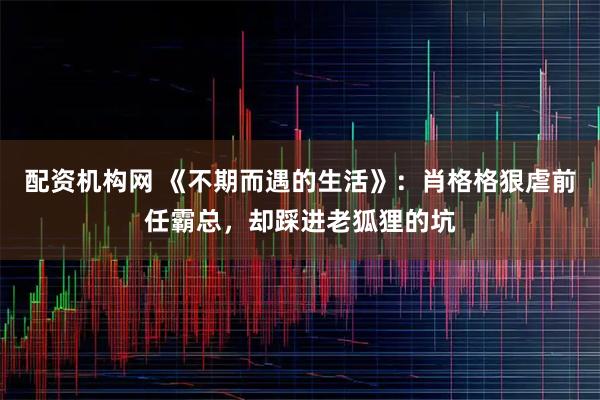 配资机构网 《不期而遇的生活》：肖格格狠虐前任霸总，却踩进老狐狸的坑
